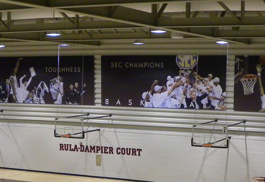 Direct Mount Stationary Wall Mount Basketball Backstop, 3' - 4' Length