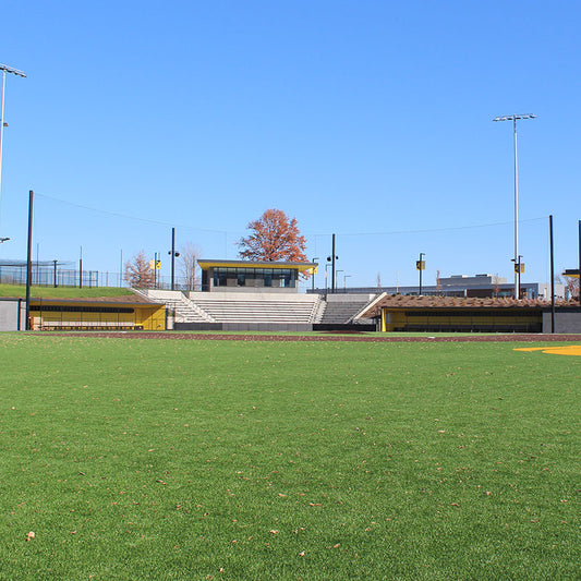 Reliable Douglas® Suspended Backstop Cable System